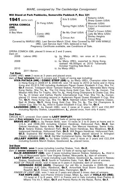 December Mare Sale - Tattersalls