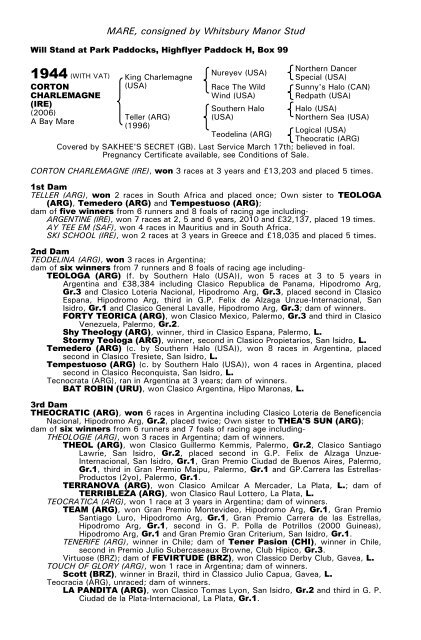 December Mare Sale - Tattersalls