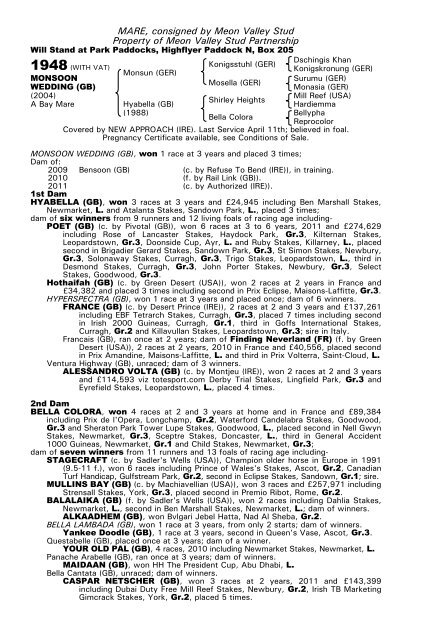 December Mare Sale - Tattersalls