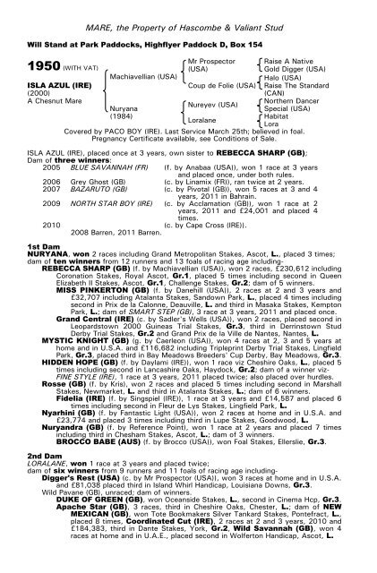 December Mare Sale - Tattersalls