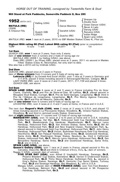 December Mare Sale - Tattersalls