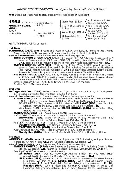 December Mare Sale - Tattersalls