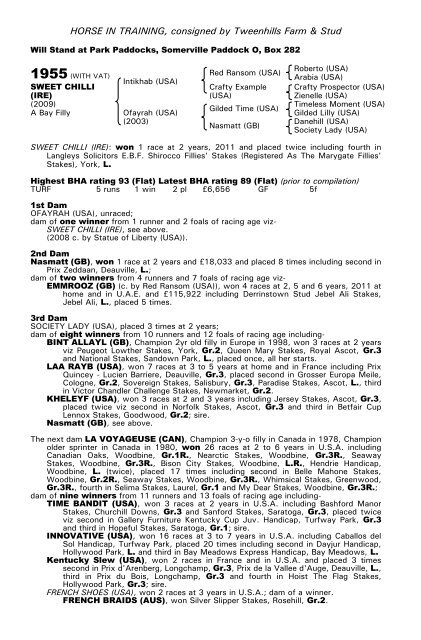 December Mare Sale - Tattersalls