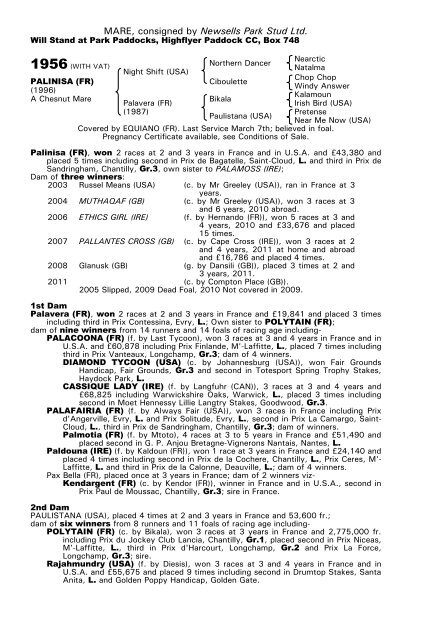 December Mare Sale - Tattersalls