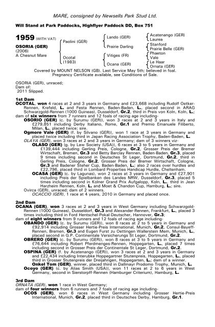 December Mare Sale - Tattersalls