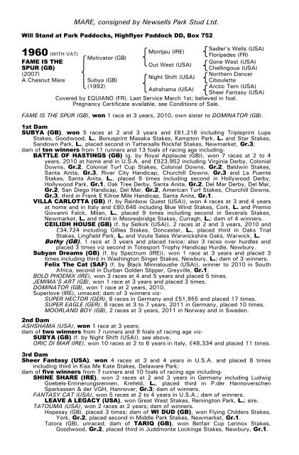 December Mare Sale - Tattersalls