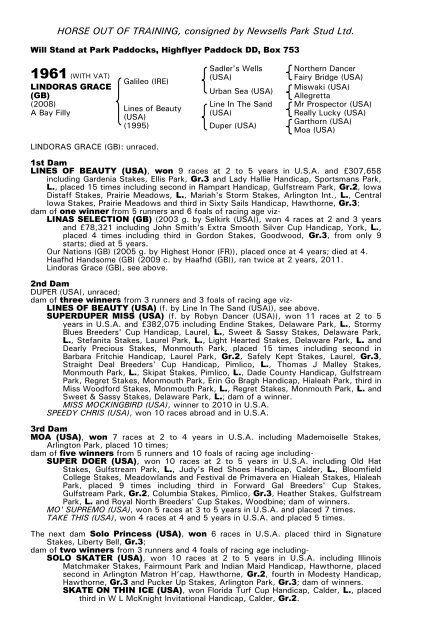 December Mare Sale - Tattersalls