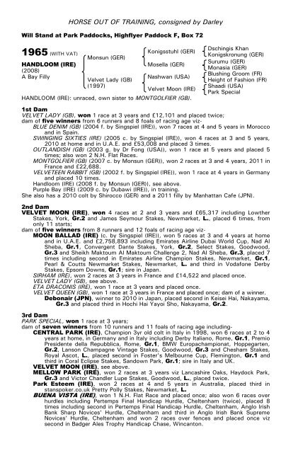 December Mare Sale - Tattersalls