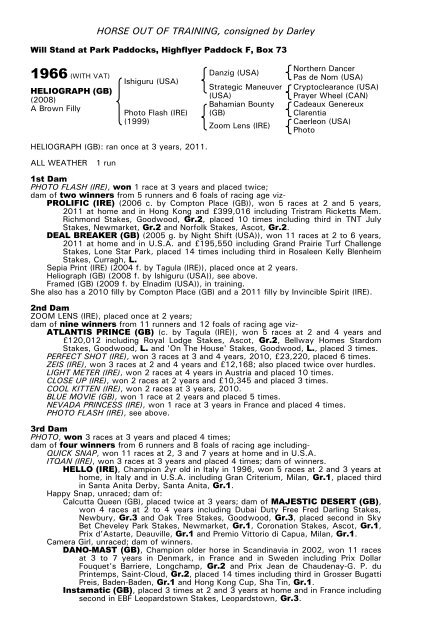 December Mare Sale - Tattersalls