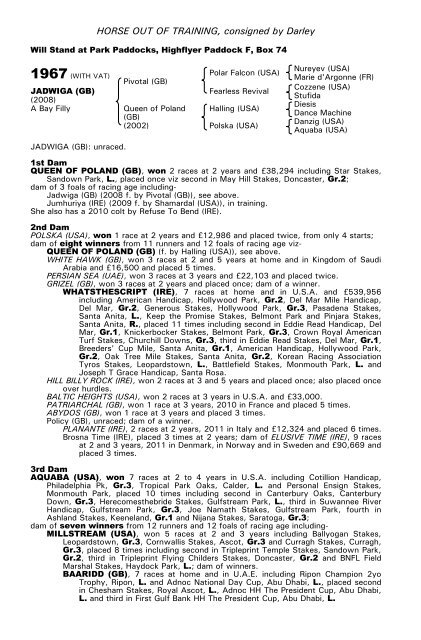 December Mare Sale - Tattersalls