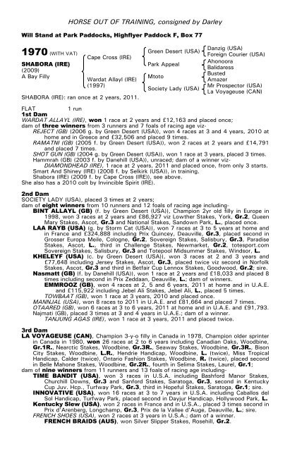 December Mare Sale - Tattersalls