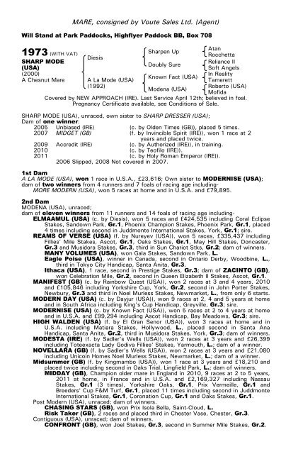 December Mare Sale - Tattersalls