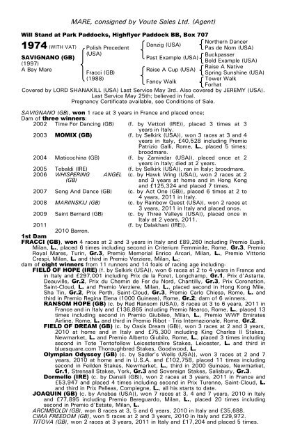 December Mare Sale - Tattersalls