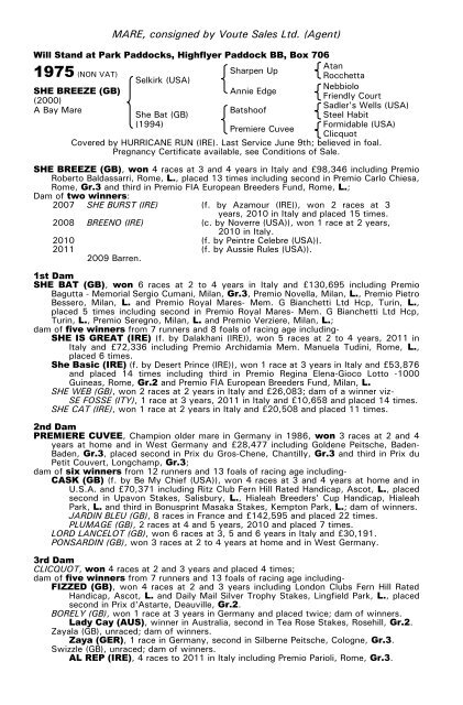 December Mare Sale - Tattersalls