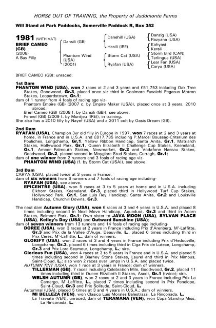 December Mare Sale - Tattersalls