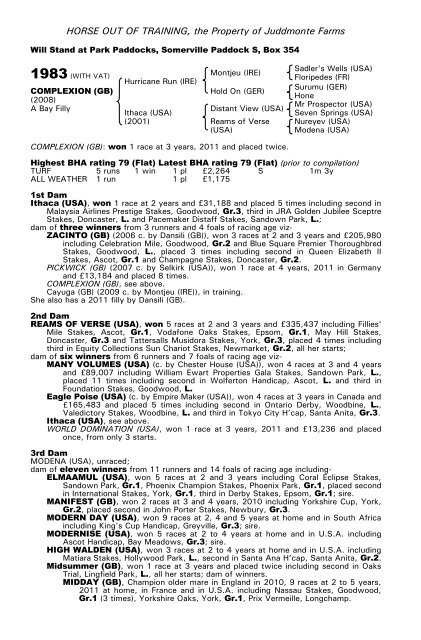 December Mare Sale - Tattersalls