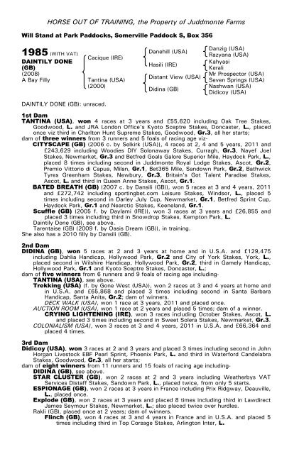 December Mare Sale - Tattersalls