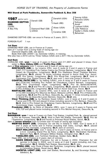 December Mare Sale - Tattersalls