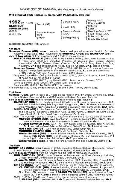 December Mare Sale - Tattersalls