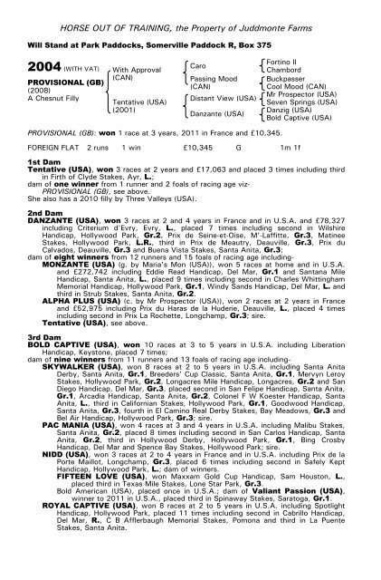 December Mare Sale - Tattersalls