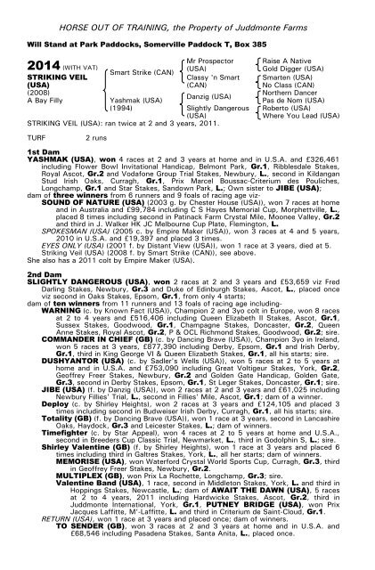 December Mare Sale - Tattersalls