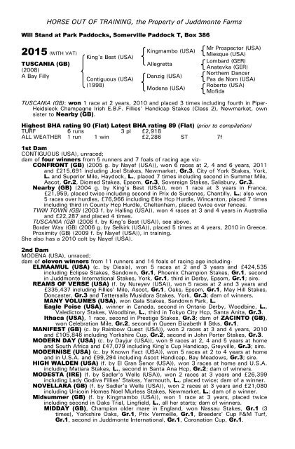 December Mare Sale - Tattersalls