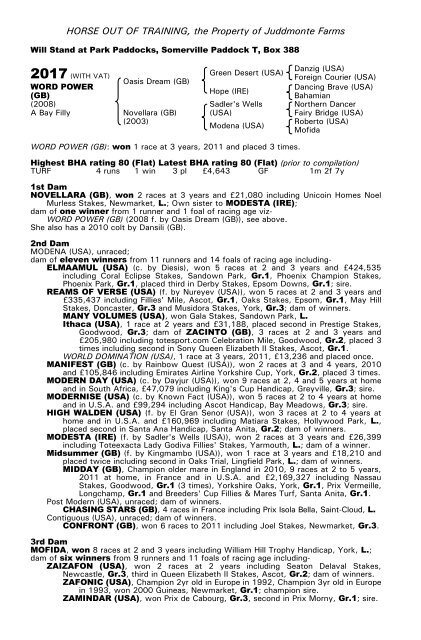 December Mare Sale - Tattersalls