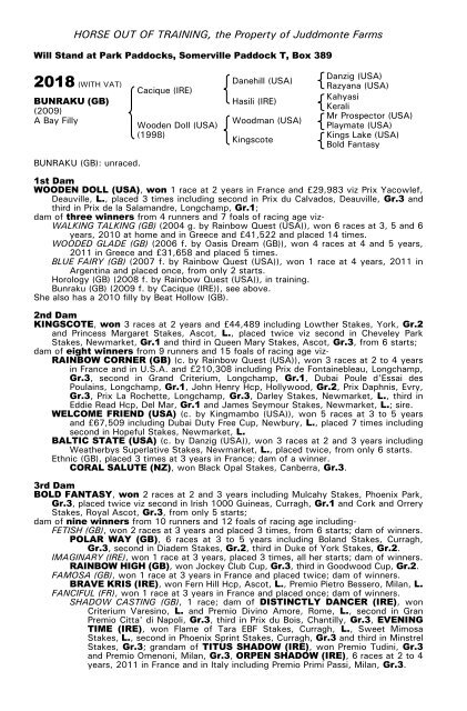 December Mare Sale - Tattersalls