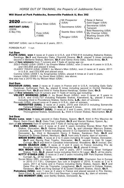 December Mare Sale - Tattersalls