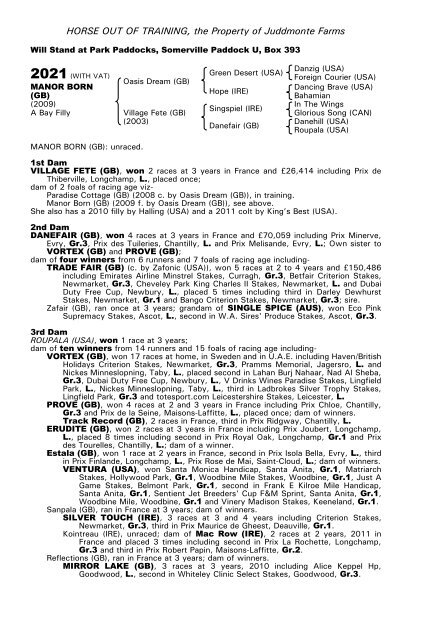 December Mare Sale - Tattersalls