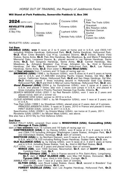 December Mare Sale - Tattersalls