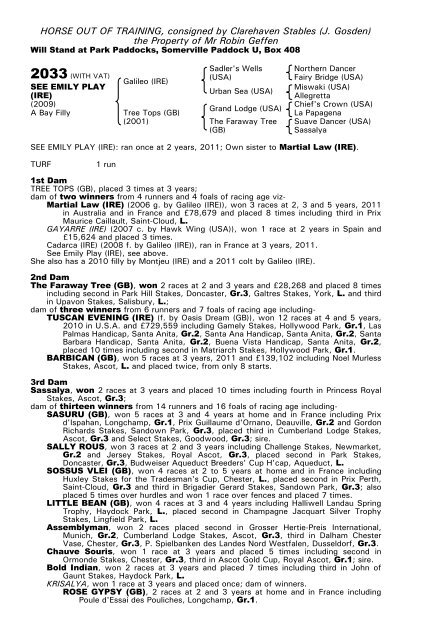 December Mare Sale - Tattersalls