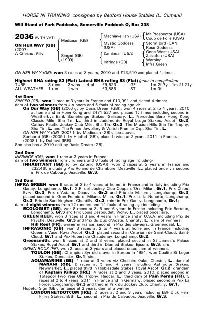 December Mare Sale - Tattersalls