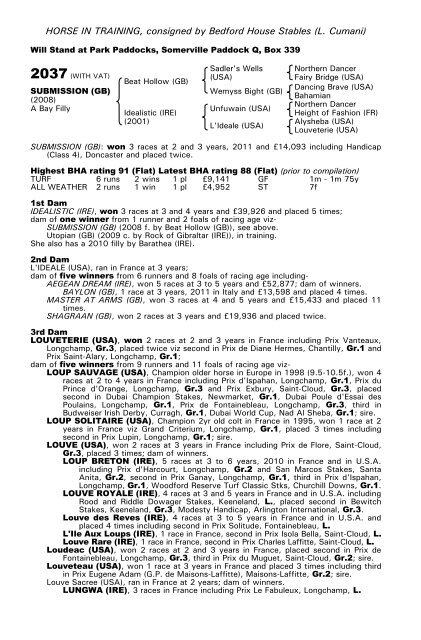 December Mare Sale - Tattersalls