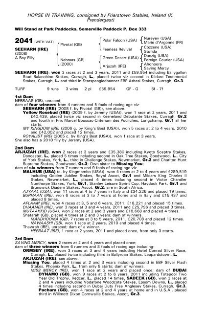 December Mare Sale - Tattersalls