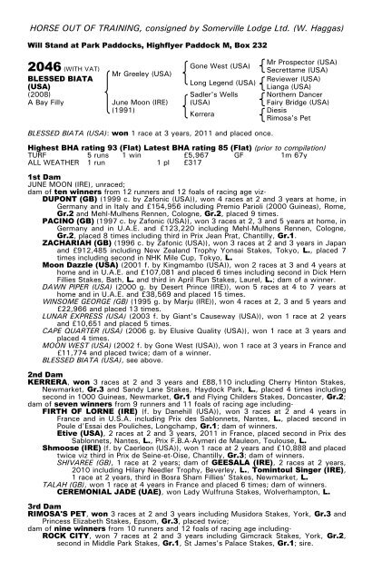 December Mare Sale - Tattersalls