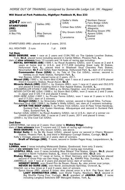 December Mare Sale - Tattersalls