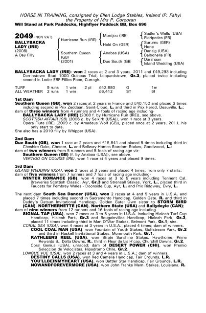 December Mare Sale - Tattersalls