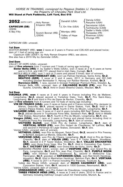 December Mare Sale - Tattersalls