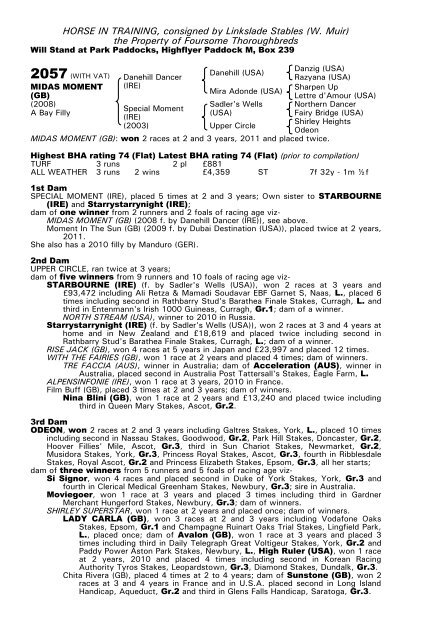 December Mare Sale - Tattersalls