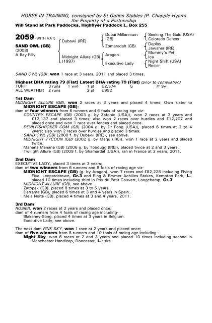 December Mare Sale - Tattersalls