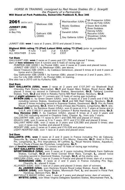 December Mare Sale - Tattersalls