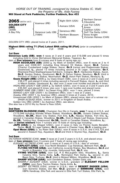 December Mare Sale - Tattersalls