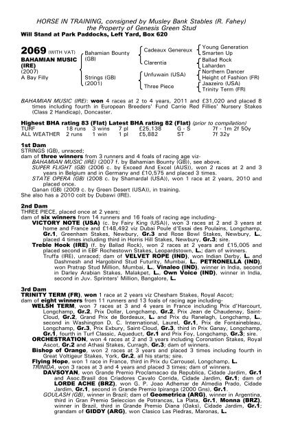 December Mare Sale - Tattersalls