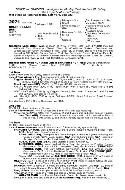 December Mare Sale - Tattersalls