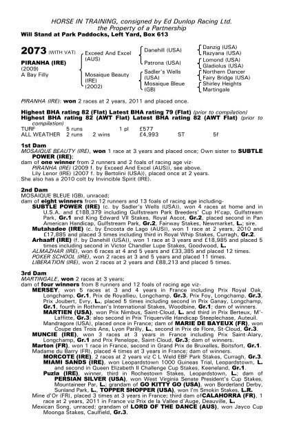 December Mare Sale - Tattersalls