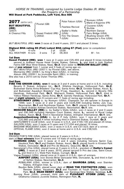 December Mare Sale - Tattersalls