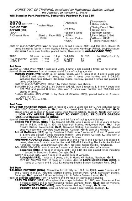 December Mare Sale - Tattersalls