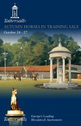 Autumn Horses in Training Sale - Tattersalls