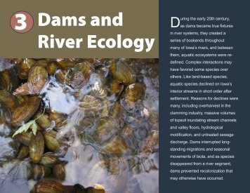 3 Dams and River Ecology - Iowa Department of Natural Resources